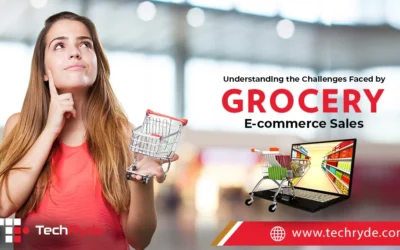 Understanding the Challenges Faced by Grocery E-commerce Sales