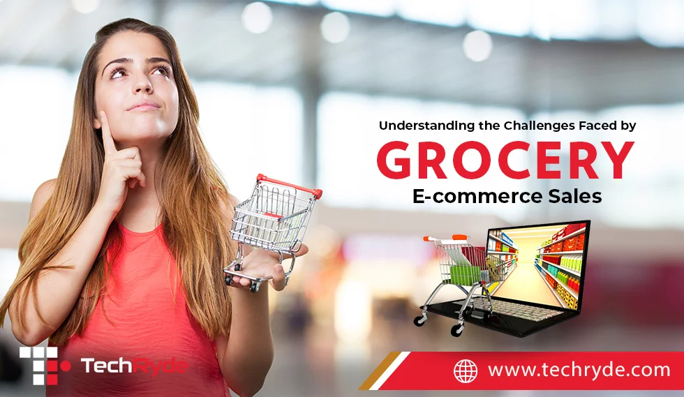 Analyzing the Obstacles Encountered in Grocery E-commerce Sales